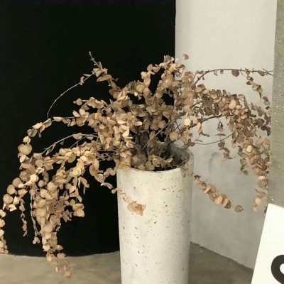 Furry萌系风格设计技巧福瑞交流群